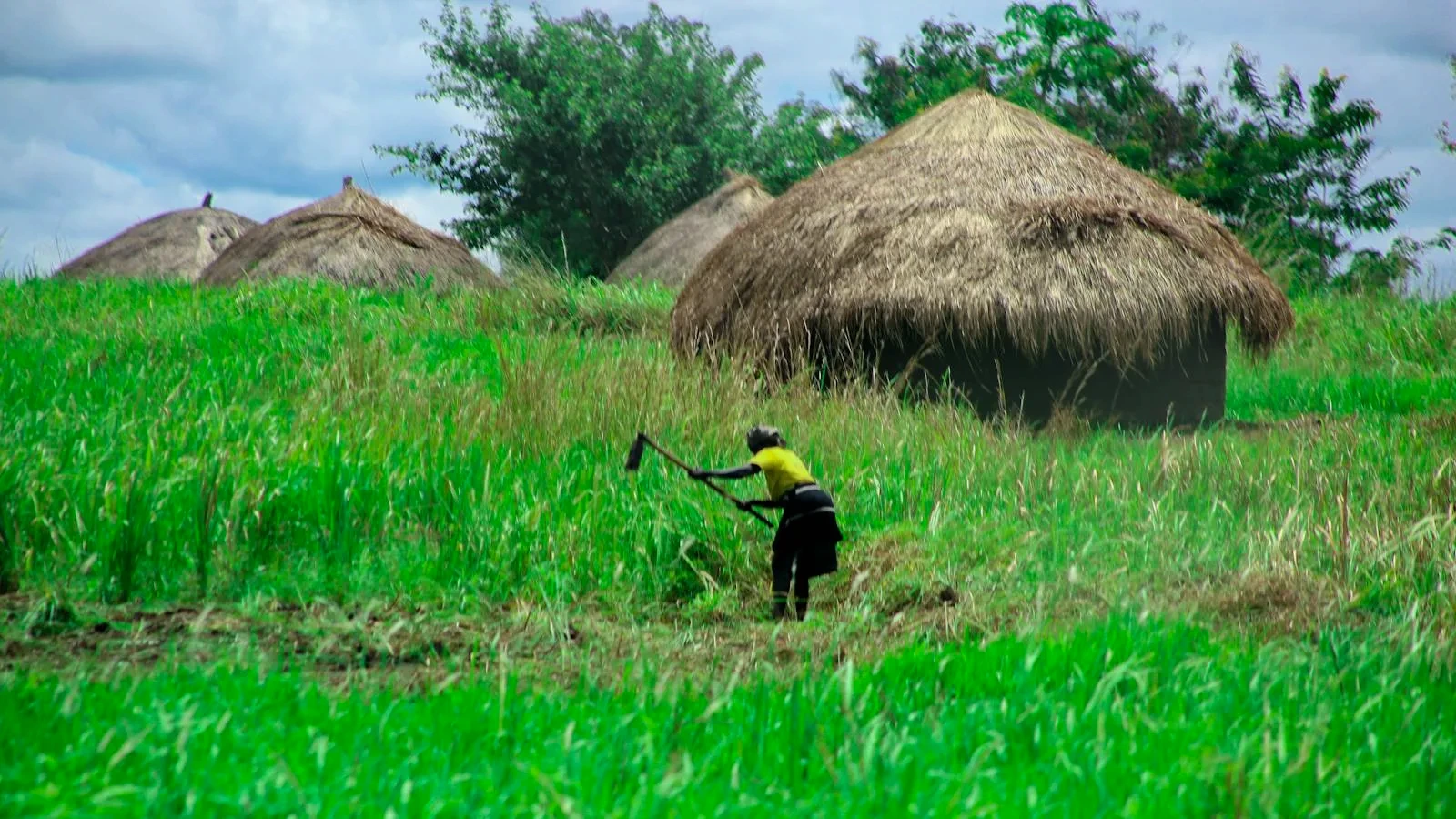 Plinko Game FB88 – Cơ Chế Chơi Và Phân Tích Xác Suất 2026